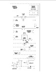 Diagram for 07 - Wiring Information