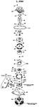 Diagram for 5 - 2-speed