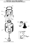 Diagram for 5 - Agitator, Tub & Pump Assembly