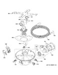 Diagram for Motor, Sump & Filter Assembly