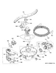 Diagram for Motor, Sump & Filter Assembly