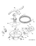 Diagram for Motor, Sump & Filter Assembly